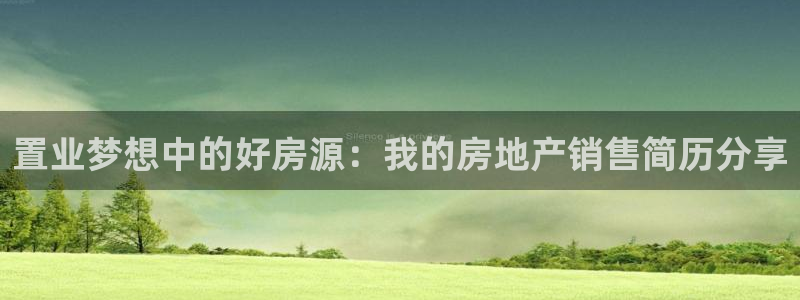 新宝5测速在线：置业梦想中的好房源：我的房地产销售简历分享