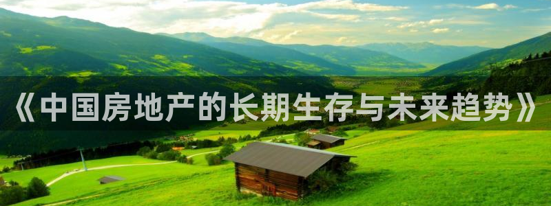 p5r新宝魔：《中国房地产的长期生存与未来趋势》
