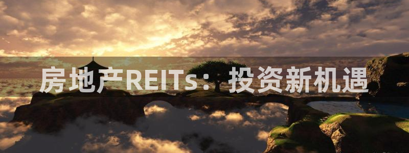 新宝5登录注册：房地产REITs：投资新机遇