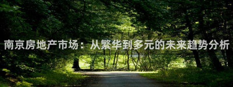 新宝5入口：南京房地产市场：从繁华到多元的未来趋势分析