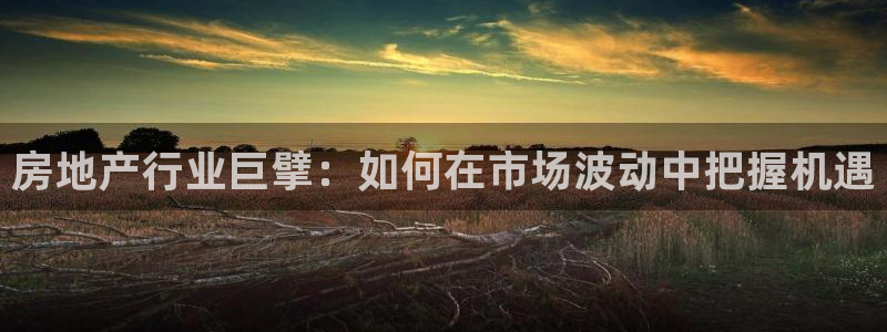 新宝5娱乐登陆：房地产行业巨擘：如何在市场波动中把握机遇