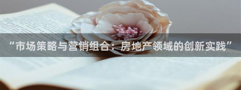 新宝5招商部：“市场策略与营销组合：房地产领域的创新实践”