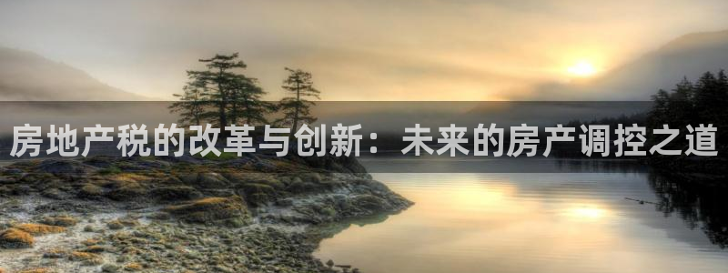 新宝5官网67五壹叁八：房地产税的改革与创新：未来的房产调控