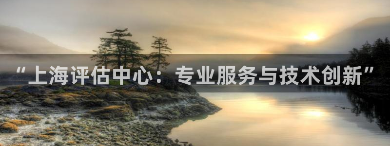 新宝5手机登录：“上海评估中心：专业服务与技术创新”