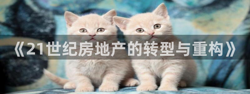 新宝5公司：《21世纪房地产的转型与重构》